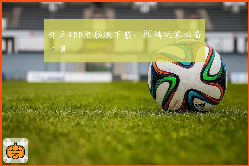 开云app电脑版下载,PC端玩家必备工具